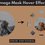 Image Mask Hover Effect In WordPress Using CSS WordPress Tips And Tricks