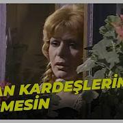 Aşkın Kanatlarıyla Uçarak Geldim Duyun Beni