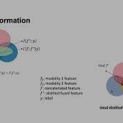 Dynamic Multimodal Information Bottleneck For Multimodality Classification