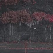 Even In Arcadia Sleep Token Isolated Vocals