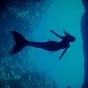 5 Mythical Creatures That Could Actually Exist