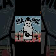 BRUDA ACAB