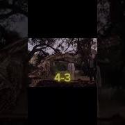 Python 2000 Vs King Of Snake Edit Fyp Capcut Snake 4k Movie Shorts