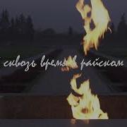 Дельфин 744 Lyric Video