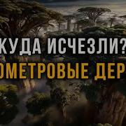 МИР ДО НАС Куда Исчезли Километровые Деревья По Следам Гигантов