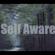 Self Aware Sped Up Reverb By Temper City