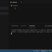 How To Use Python Virtual Env And Environment Variables On Linux MacOS