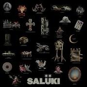 SALUKI ВЫЛЕЧИМ Slowed And Reverb
