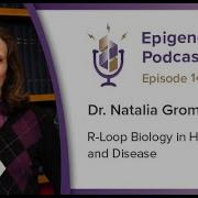 Epigenetics Podcast 140 R Loop Biology In Health And Disease With Natalia Gromak