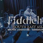 Fiddlehead Bangkok Thailand 18 08 23 FULL SET