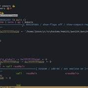 Выполнение шеллкода Ret2shellcode Pwn104 Пошаговое руководство по PWN101 от TryHackMe