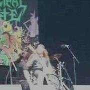 Municipal Waste Headbanger Face Rip