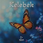 Kelebek Enstrümantal