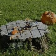 Exploding Pumpkins Halloween Science Fun