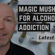 Latest Study Can Psilocybin Help Alcohol Addiction