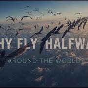Why Do Birds Fly 25 000 Miles Every Year The Science Of Migration Explained