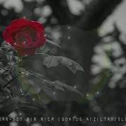 Zeynep Dizdar Son Bir Rica Göktuğ Kızıltan Slowed Reverb Remix 0 45 İlerletiniz Tiktokviral