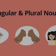 Singular Plural Nouns English Grammar Lessons