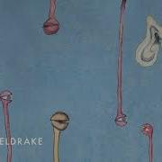 Cosmo Sheldrake Lichens