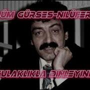 Müslüm Gürses Nilüfer 8D