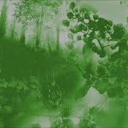 DKC2 Orchestral Remix Forest Interlude Stickerbush Symphony EXTENDED