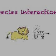 Species Interactions