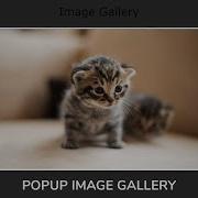 Create A Responsive Popup Image Gallery Using HTML CSS And Vanilla Javascript