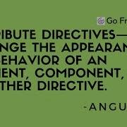 Attribute Directives In Angular With Real Time Examples