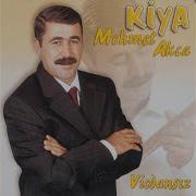 Vicdansız