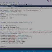 ADO NET Parameterised Commands