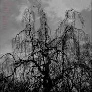 Colin Stetson Sarah Neufeld Never Were The Way She Was Full Album