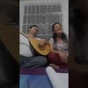 Gelsene Gelsene Meyrocan Arabali