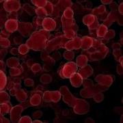 Hypervoxel Blood