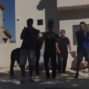 LAMBDA PHI EPSILON SERENADE Social 2015