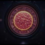 Origins Of Life From Stardust To Living Cells