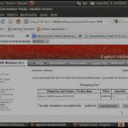 Exploit Hidden Fields