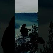 Bearwolf Один в поле воин Remix Dj DimOFF
