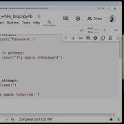 Unit 5 Lesson 1 While Loop Application Password Check