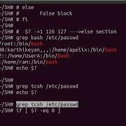 Shell Script Conditional Statement If Else Statement
