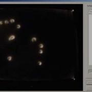 Multitouch Screen Blob Test