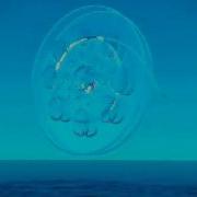 Water Morphing In RealFlow