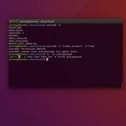 Linux Basics How To Add A User Account