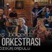 Özgür Ordulu Orka Orkestrası Ateş Böceği Official Video