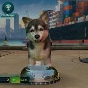 Kinectimals 2 для Windows Phone 8