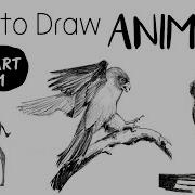 How To Draw Sketch Animals Part 1