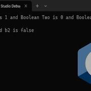 How To Print Boolean Variables In C