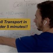 Cell Transport In Under 5 Minutes