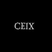 Bass House And Breaks Mix
