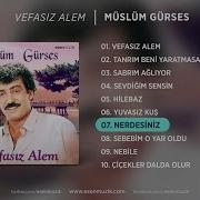 Nerdesiniz Müslüm Gürses Official Audio Nerdesiniz Müslümgürses Esen Müzik