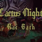 Rat Bath Cactus Nights Live Set 3 20 25